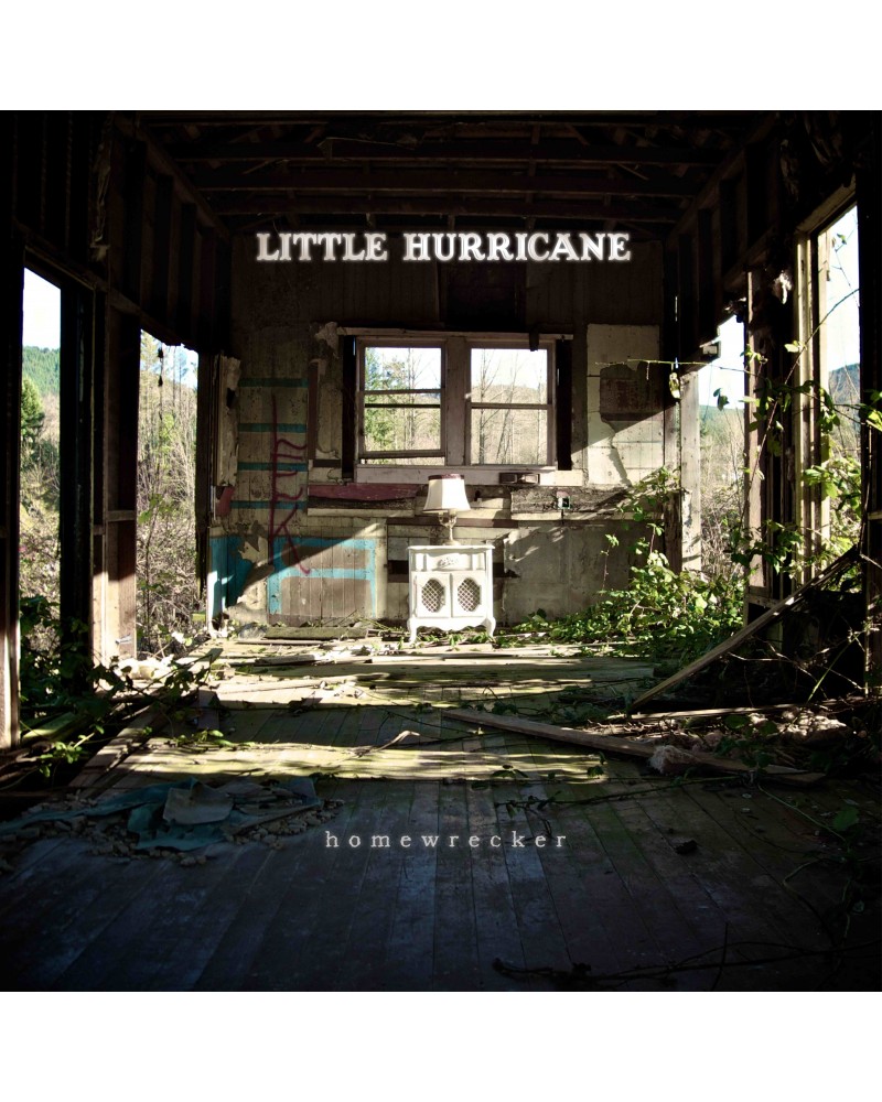 little hurricane Homewrecker Vinyl Record $6.83 Vinyl