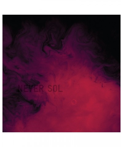 Never Sol Under Quiet' Vinyl Record $17.33 Vinyl