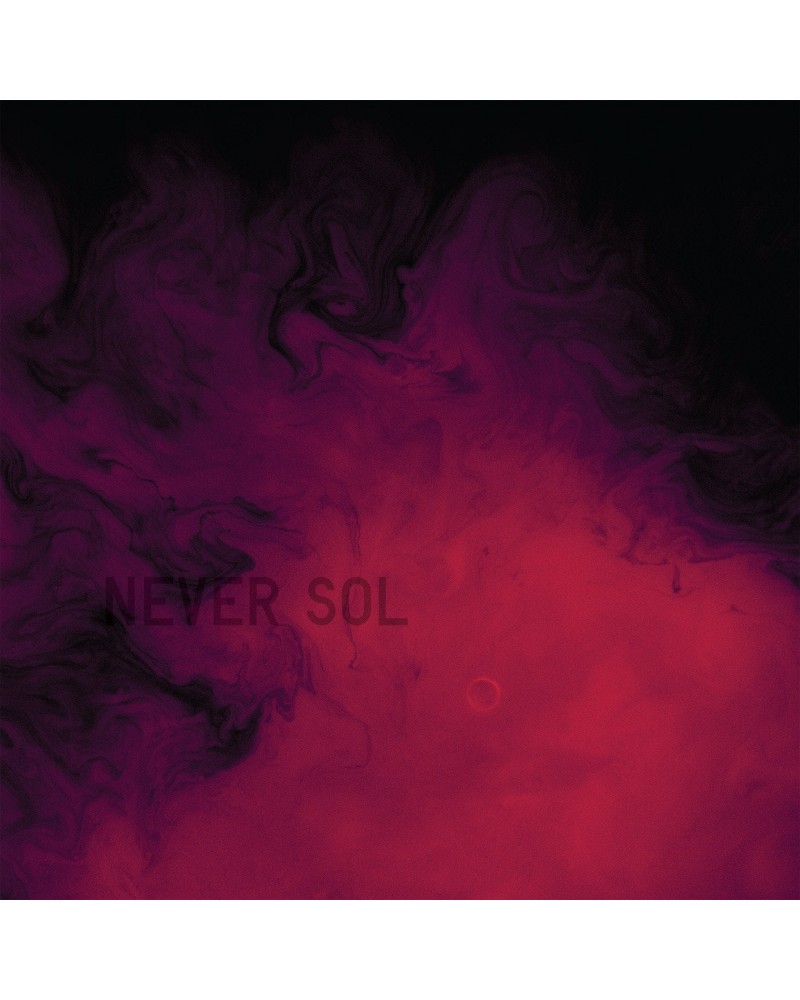 Never Sol Under Quiet' Vinyl Record $17.33 Vinyl