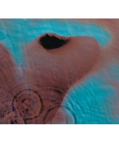 Pink Floyd Meddle Vinyl Record $10.71 Vinyl