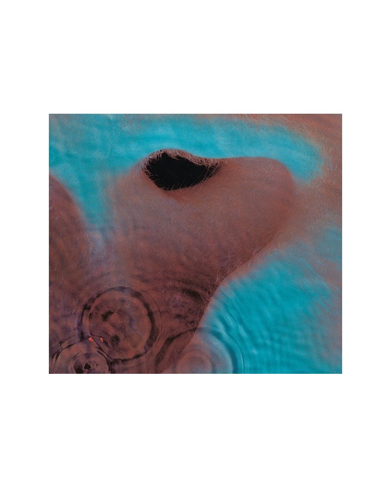 Pink Floyd Meddle Vinyl Record $10.71 Vinyl